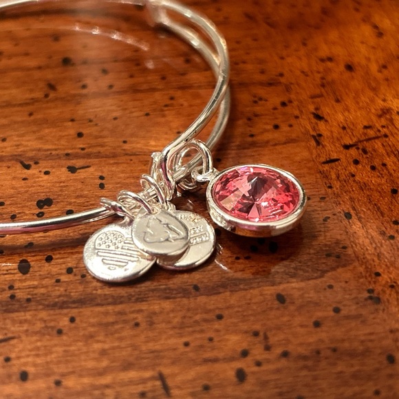 Alex & Ani Bangle Bar Pink Tourmaline October Birthstone Bangle Bracelet - Picture 9 of 14